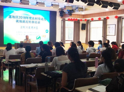 育婴从业人员的法制与道德培训 构筑职业素养的坚实基石