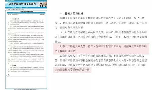 职业技能提升，政府补贴支持 沪籍与非沪籍劳动者均可申请